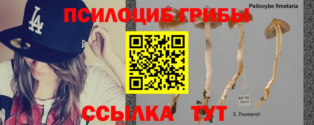 Галлюциногенные грибы MAGIC MUSHROOMS  Вход с VPN  Галлюциногенные грибы Magic Shrooms  Нижневартовск 